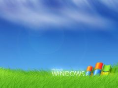 Tapeta ws_Windows_7_grass.jpg